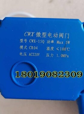 微型电动阀门CWX-15Q CRs04 AC220V二线水管阀门开关DN15不锈钢30