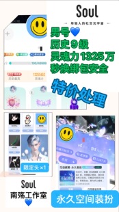 Soul历史9级精品男