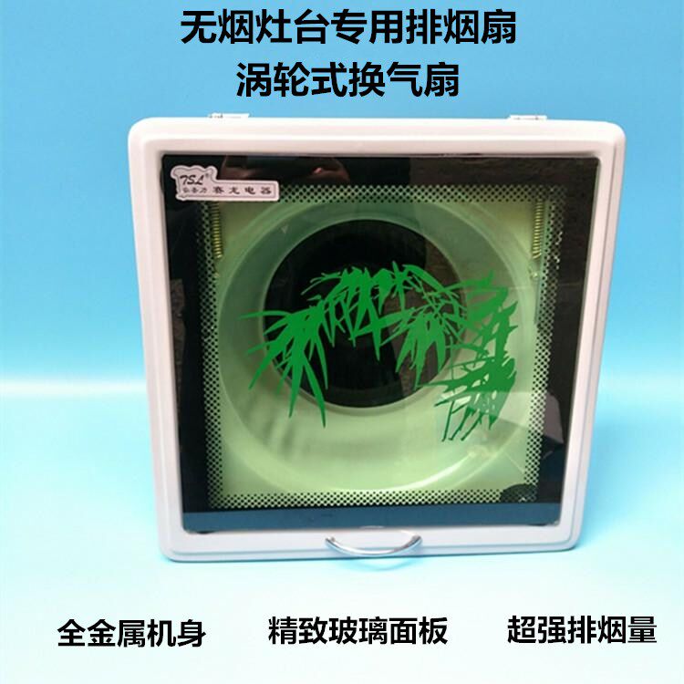 泰圣力排a风扇强力厨房用换气扇油烟机10寸抽风机油烟窗式家用静