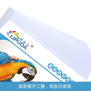 极速丽普达120g双面彩喷a4彩色染料喷墨打印机R打印单哑面纸办公