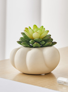 极速奶油ins风猫爪仿真多肉盆栽创意办公室N桌面家居客厅装饰品小