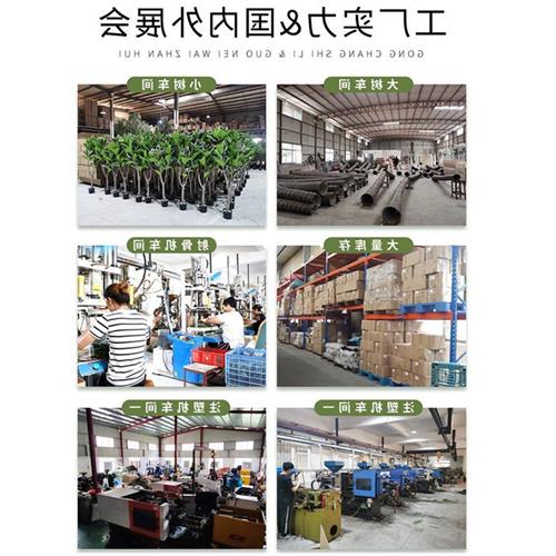仿真大型人造椰子树厂家户外水乐园假树广场装饰玻璃钢大王椰子树图片