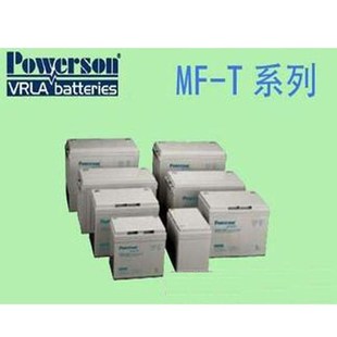 复华蓄电b池6-GFM-100复华电池12V100AH  铅酸蓄电池免维护 包邮