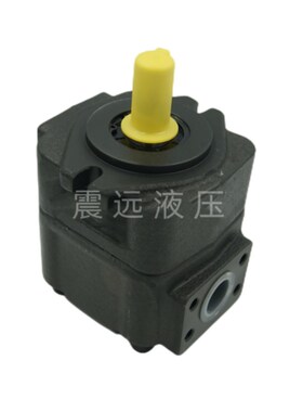 液压叶片泵油泵VQ20/DVQ20-6/23/26/31/38-F-LRA/LRB/LRVR/LRL/LL