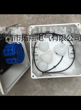 LW38D dLW39B-16 LW28 LW26-20 万能转开关带IP65防水热塑密封盒