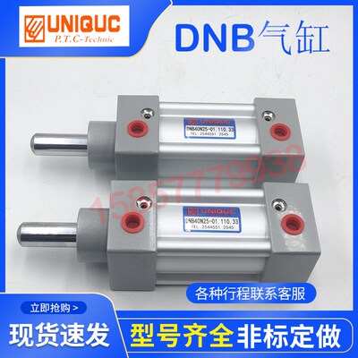优力克UNIQUC气缸DNB40N600-01.201.12 DNB40N67S0-01.110.02