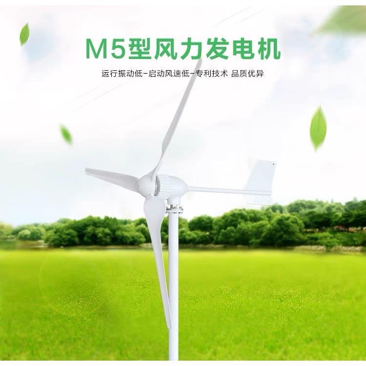 足功率小型风力发电机家用风光互补路灯户外船用1000W12V24V220V