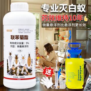 修预防家用药水杀虫剂 长效白蚁防治专用药灭除全飞蚂蚁克星窝端装
