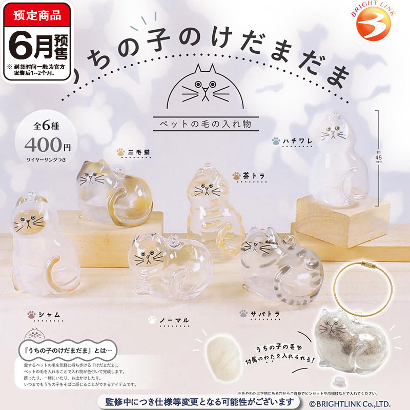 BrightLink预订猫咪造型收纳挂件