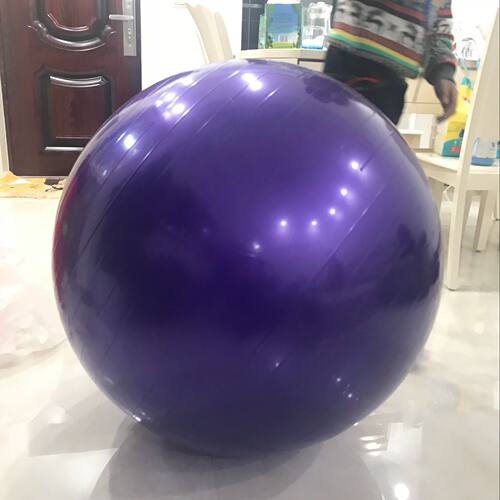 感统器材健身球淘气堡跳跳球幼儿园体能训练按摩球75CM瑜伽球