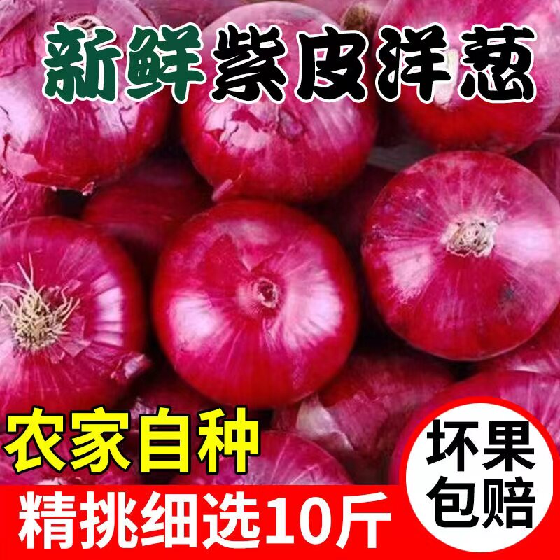 云南水果大洋葱紫皮圆