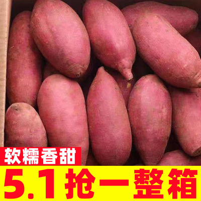 板栗红薯新鲜农家自种黄心地瓜