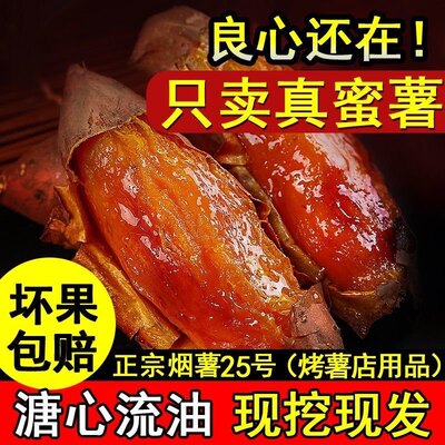 山东烟薯25号蜜薯糖心红薯