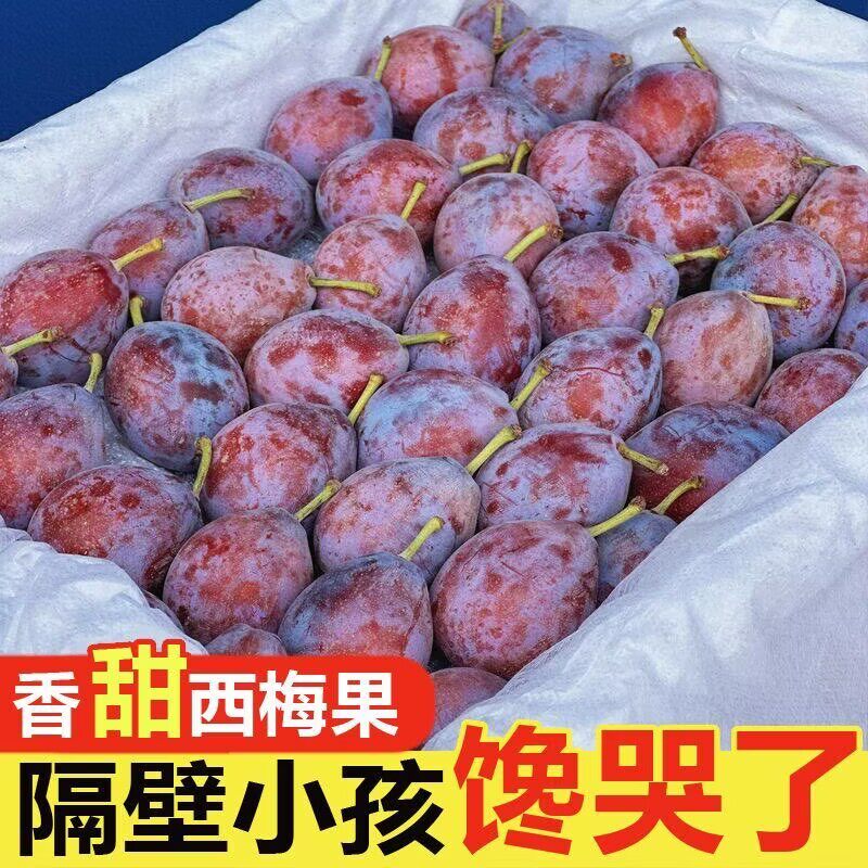 正宗西梅水果新鲜蓝蜜西梅