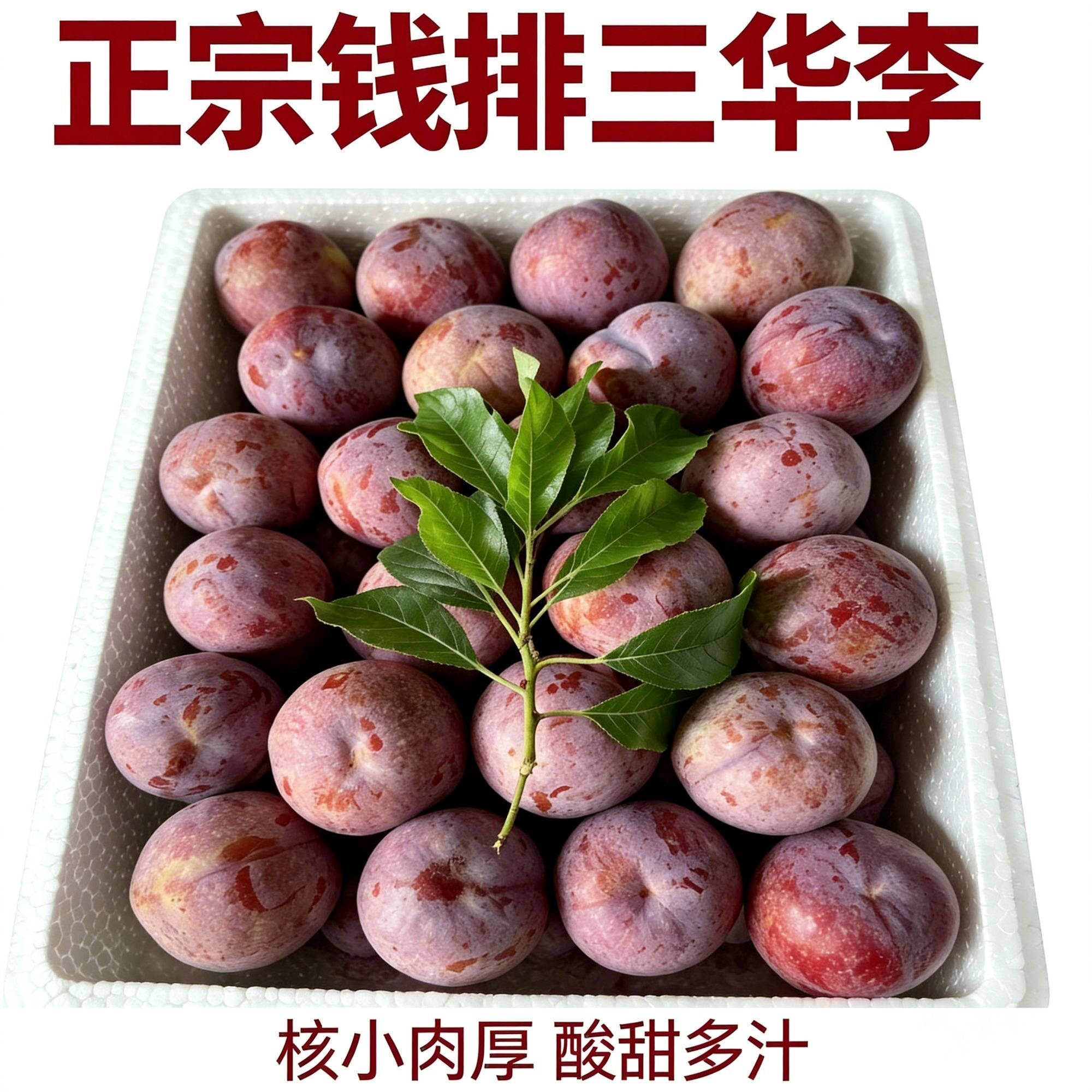 【产地直发】正宗广东红心三
