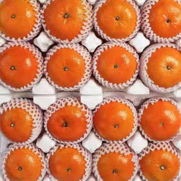 广西武鸣沃柑9斤橘子新鲜水果当季一级沙糖蜜橘砂糖柑橘大果包邮,水产肉类/新鲜蔬果/熟食,桔子,淘宝优惠券,粉丝福利购,淘宝优惠卷