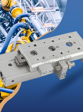 金器气缸MCSS-g12L/MCSS-12-10-20-30-40-50-75-100-A/AS/AT/AB/B