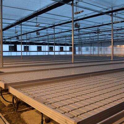 大棚温室潮汐苗床工艺花卉移动苗床灌溉育T苗床潮汐式苗床