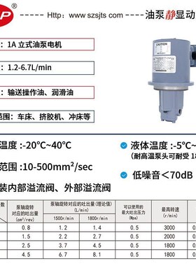 NOP同款TOP-1ME100-12MA/13MA 摆线.泵 齿轮泵