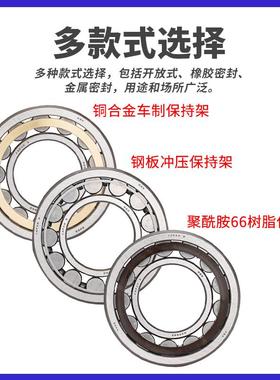 进口NSK轴承 NUP1015 NUP1016 NUP1017 NUP1018 NUP1019 EW EM C3