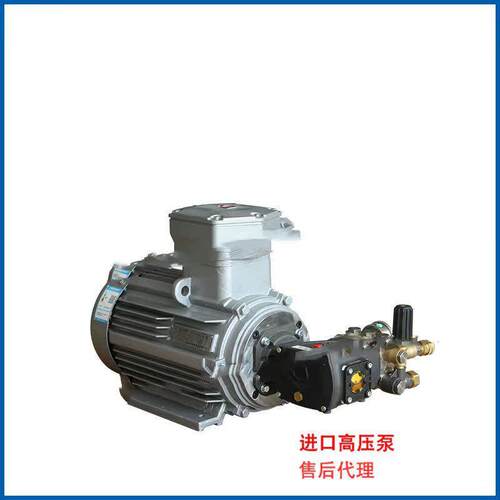 意大利进口AR防爆压泵组2510公斤MAGA-1025L配.5KW电机压泵RR15.2
