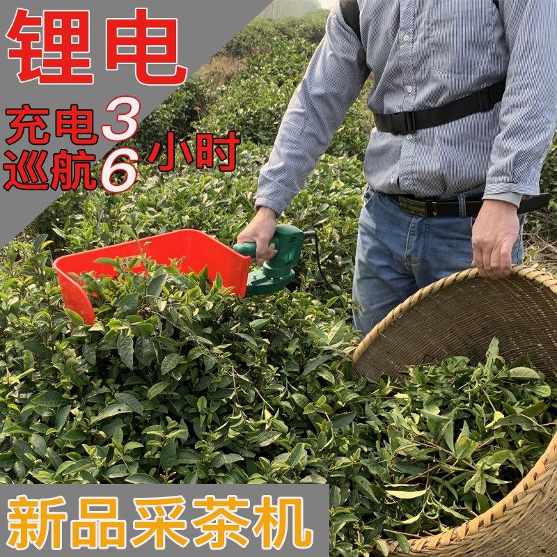 充电式迷你单人手提电动采茶机小型绿篱修剪机便携式专业款采摘机