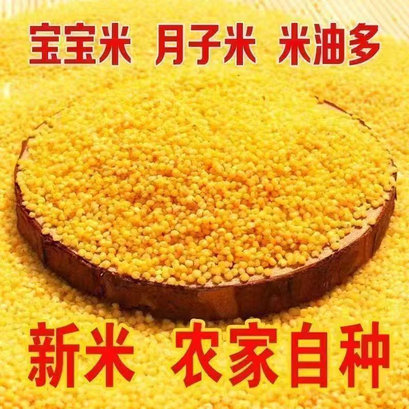 黄小米新米农家小黄米粮食糯小米煮粥五谷杂粮产地直发营养月子粥