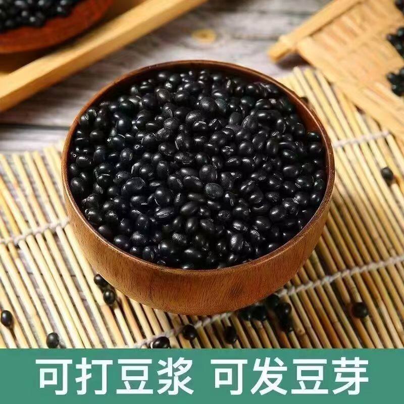5斤黄芯黑豆大颗粒豆味浓郁易发芽正宗黄心小黑豆批发价