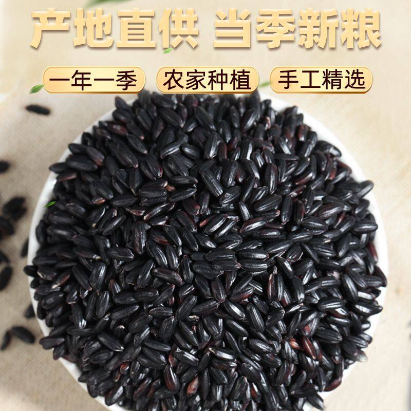 当季新黑米新米五谷杂粮黑香米糙米黑糯米粥孕妇代餐批发净重发货