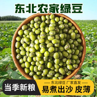 东北绿豆新鲜绿豆易烂出沙适合熬绿豆汤绿豆沙新货农家自种无添加