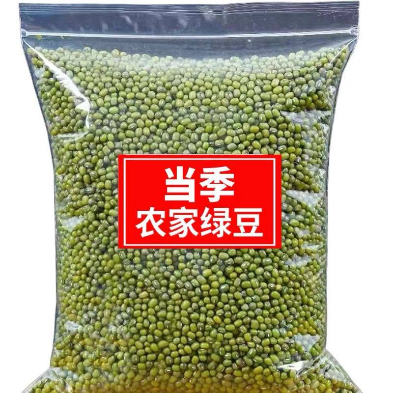 【软糯出沙】东北绿豆净重批发农家可发芽绿豆新鲜绿豆汤豆芽商用