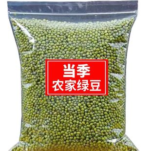 东北绿豆净重批发农家可发芽绿豆新鲜绿豆汤豆芽商用 软糯出沙