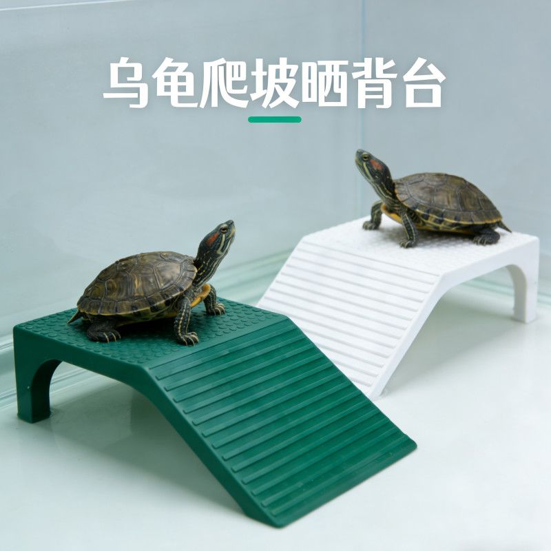 半水龟二合一躲避休息爬坡台巴西草龟浅水鱼缸乌龟背台