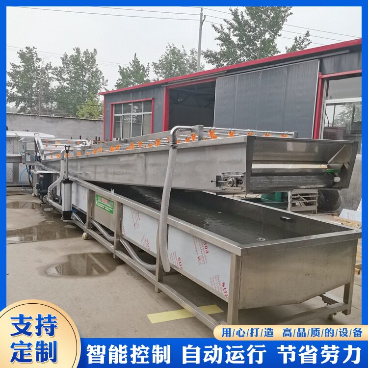 草莓蔬菜气泡清洗机流水线海鲜清洗设备清洗沥水成套线佳圣特