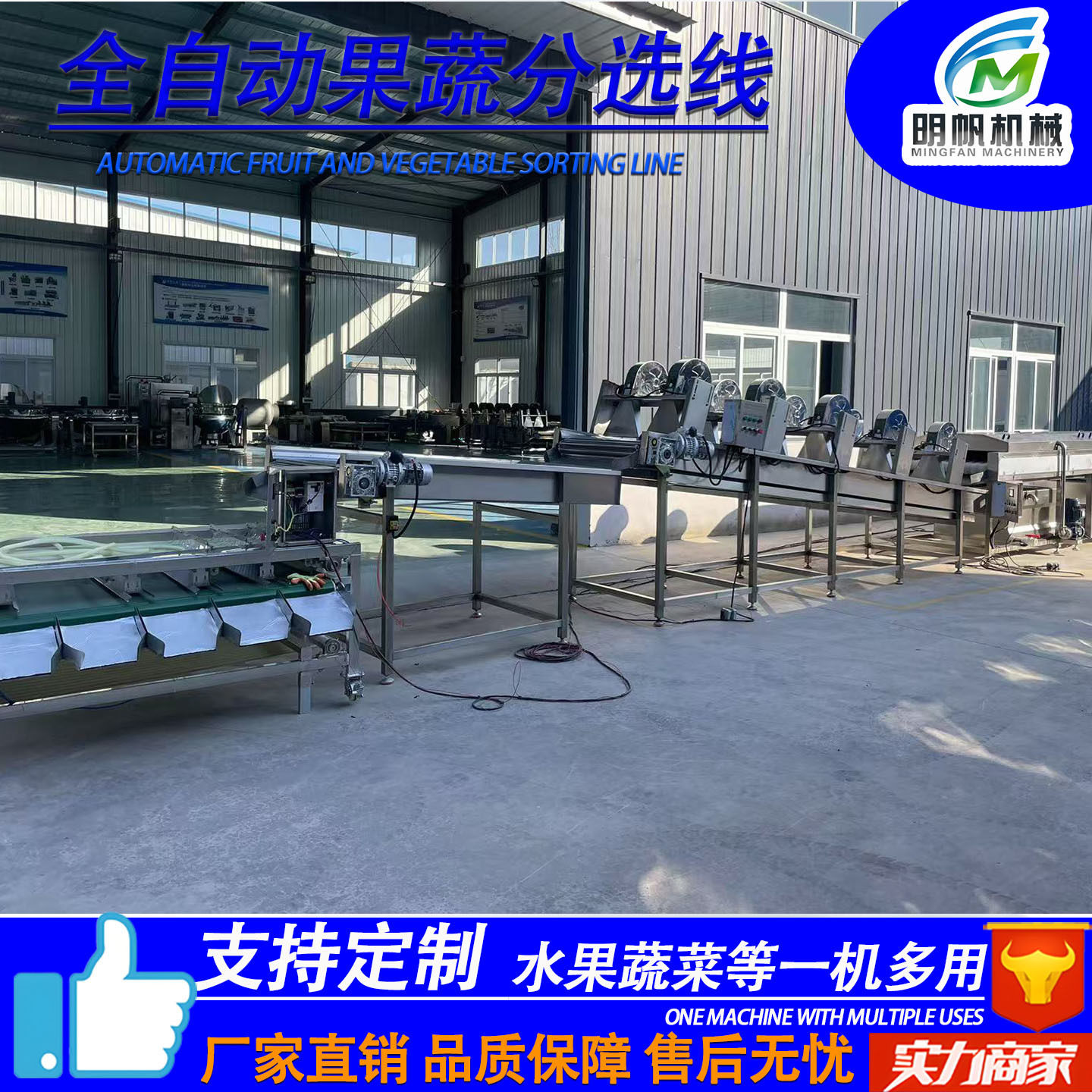水果清洗风干挑选流水线李子西梅分级设备橙子柑橘分选打蜡机