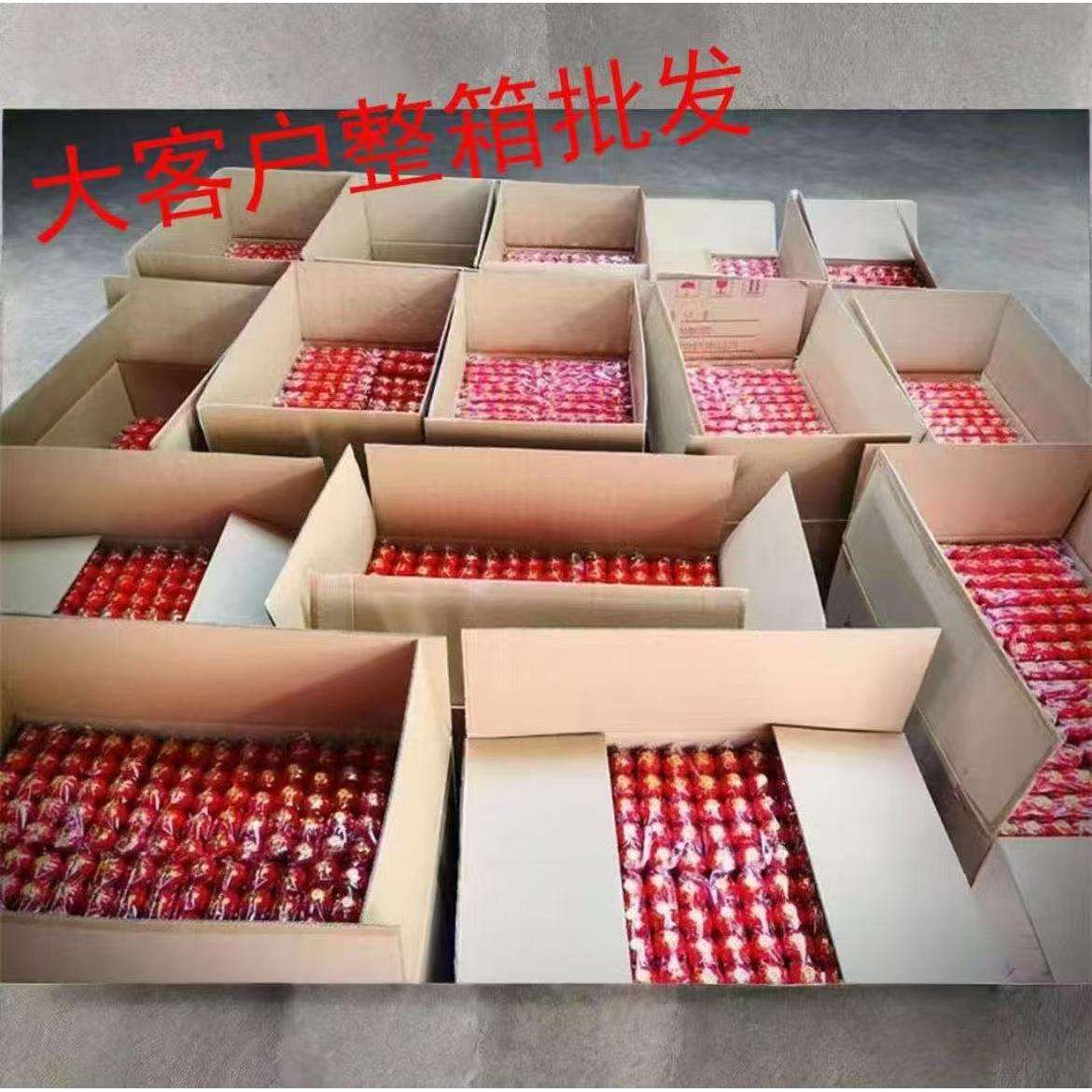 植绒小灯笼结婚新年节庆装饰挂件元旦春节灯笼盆景大红宫灯串整件