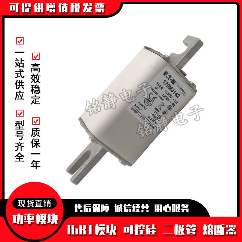 170M3138 170M3139 170M3140 170M3141 170M3142熔断器170M3143