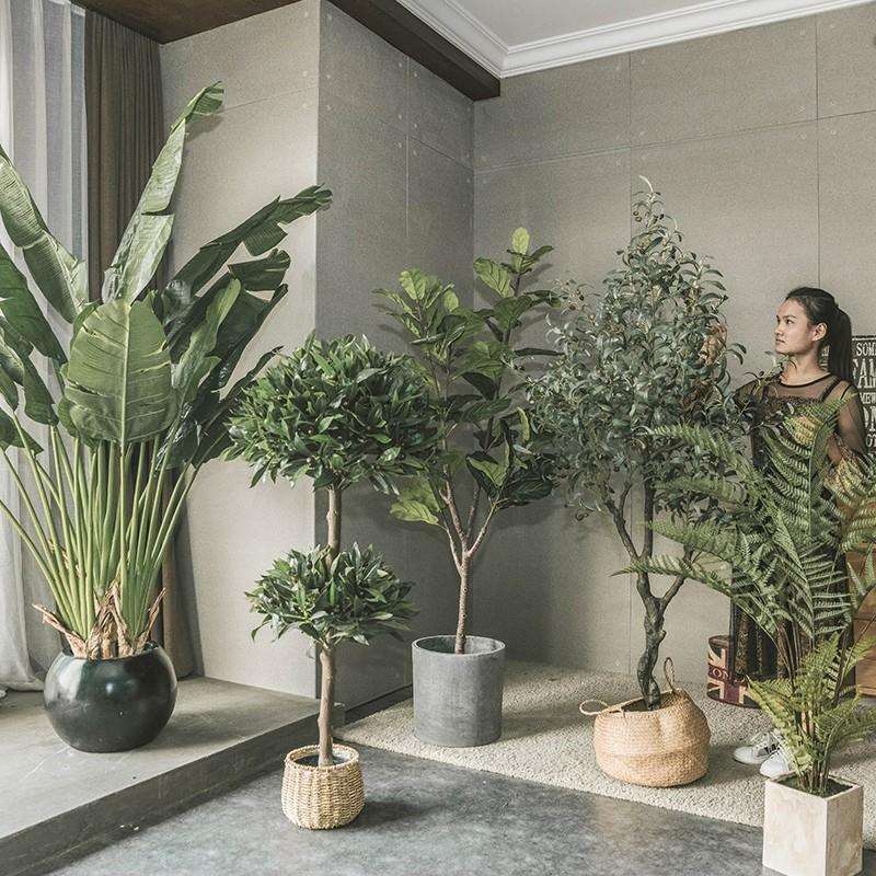 绿植室内假植物轻奢琴叶榕假树景观大型落地盆栽装饰摆件