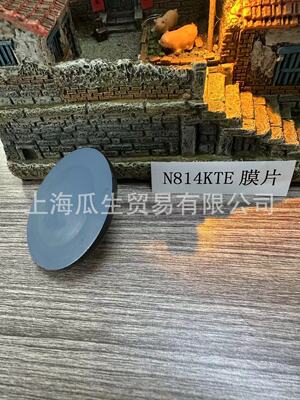 N814KTE德国KNF原装进口防腐膜片批发