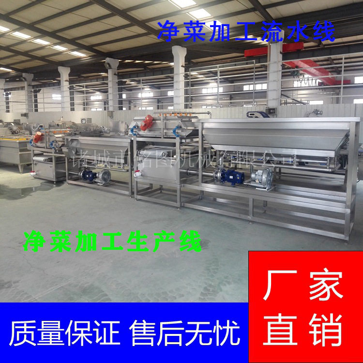 厂家直供银杏果清洗机蔬菜消毒清洗机黄花菜清洗加工设备
