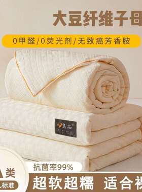 A类母婴级大豆被子母被加厚被子被芯春秋被冬被棉被被褥无染二合1