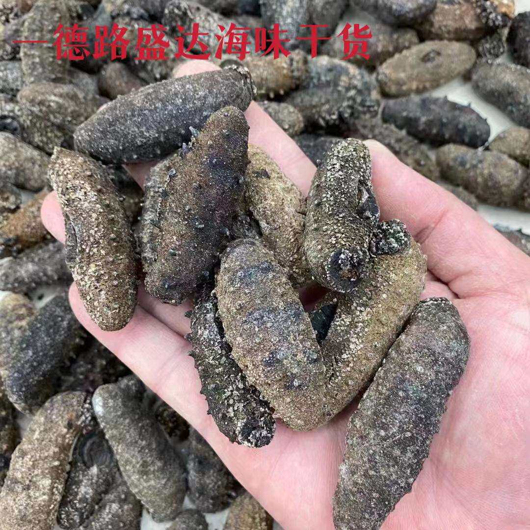 关西红球参 红球参关西参深海淡干海参干货500克 一手