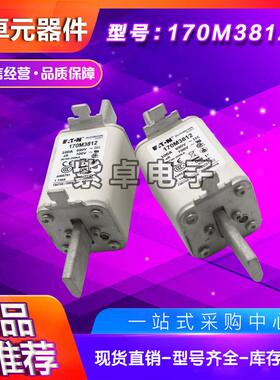 170M3986170M3987170M3988170M3989170M3990170M3991熔断器