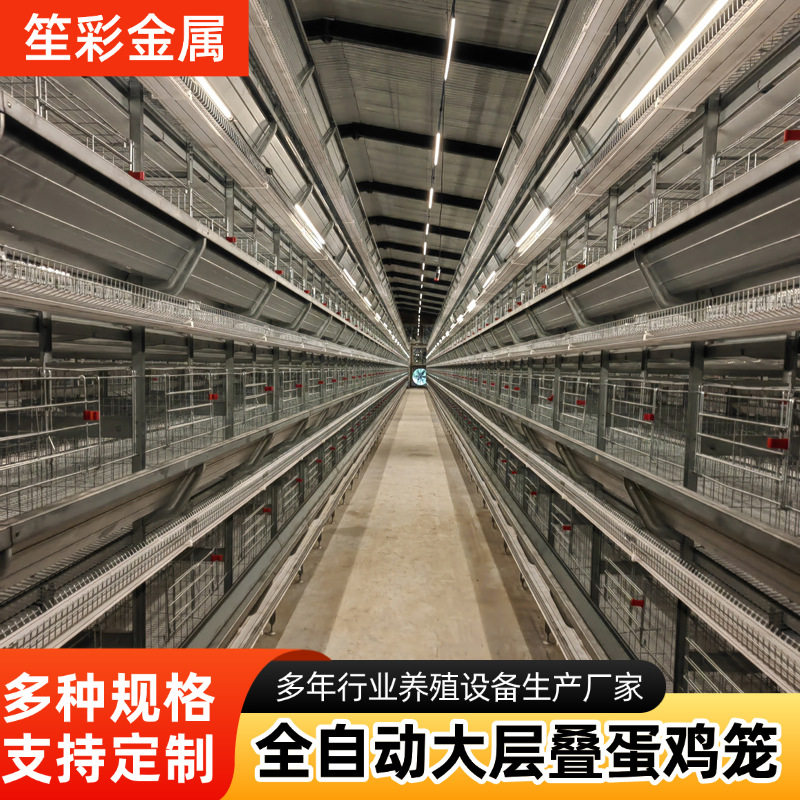 全自动化养殖设备大层叠立式蛋鸡笼自动喂料自动清粪鸡舍养鸡笼子