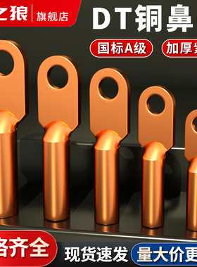 国标DT铜线鼻子接线端子16/25/35/50/70/95/120/185/240/300平方