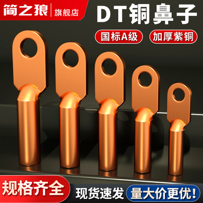 国标DT铜线鼻子接线端子16/25/35/50/70/95/120/185/240/300平方