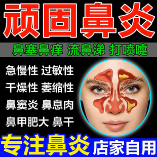 香菊颗粒陕西雪龙雪龙东秦香菊片片儿童成人急慢性鼻炎药治疗鼻窦