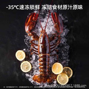 美菱冰柜20升/300家592用商用冷柜小0型冷藏冻R柜直冷单温卧式冷