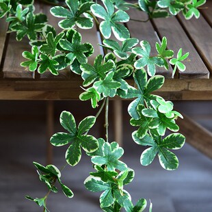 仿真藤条假花藤子规叶装饰t墙面遮挡树叶吊顶藤蔓植物缠绕壁挂绿