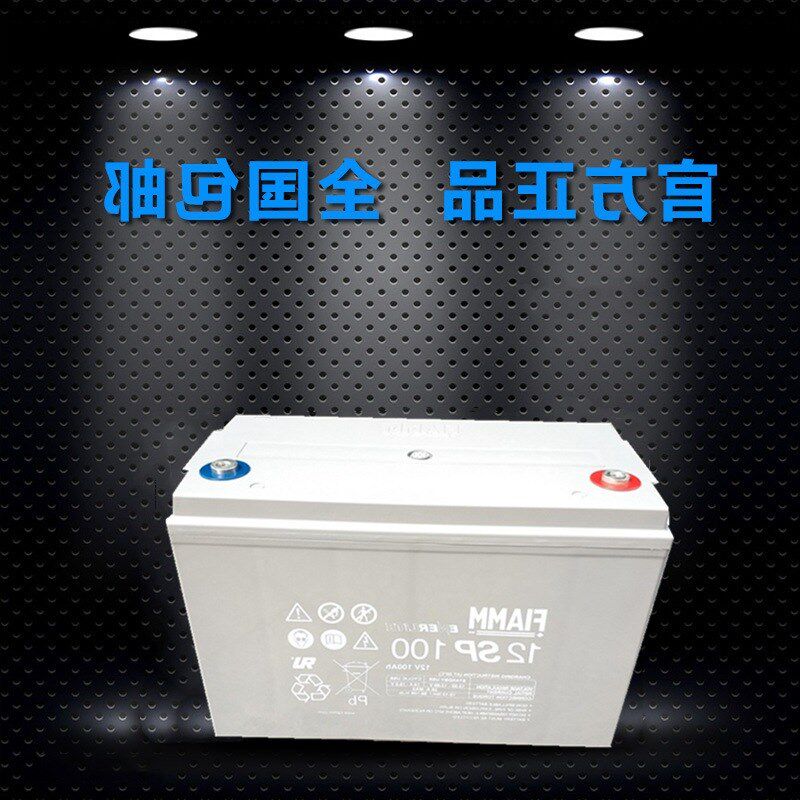 非凡蓄电池12SkP120AH/12v120ah铅酸免维护